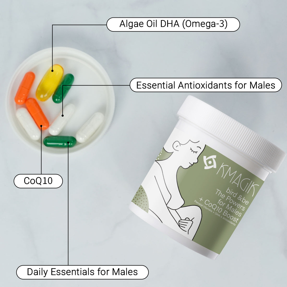 The Powers for Males With CoQ10 Boost