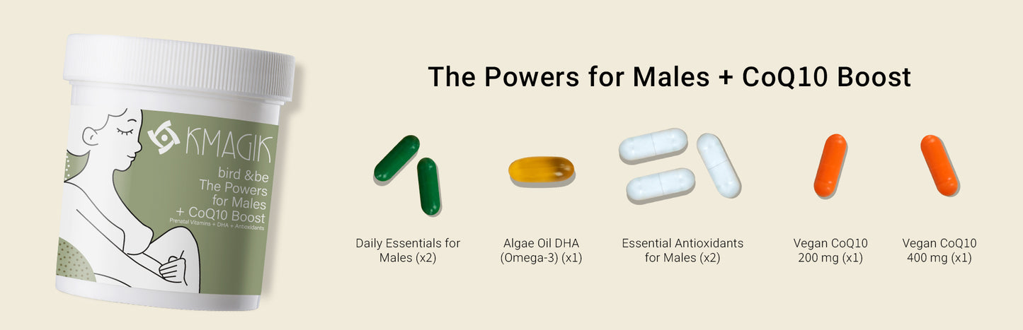 The Powers for Males With CoQ10 Boost